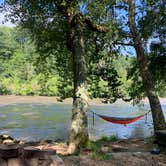 Review photo of French Broad River Campground - Permanently Closed by Jaclyn H., August 8, 2020