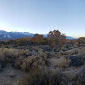 Review photo of Alabama Hills Recreation Area by Esther Y., August 8, 2020