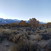 Review photo of Alabama Hills Recreation Area by Esther Y., August 8, 2020