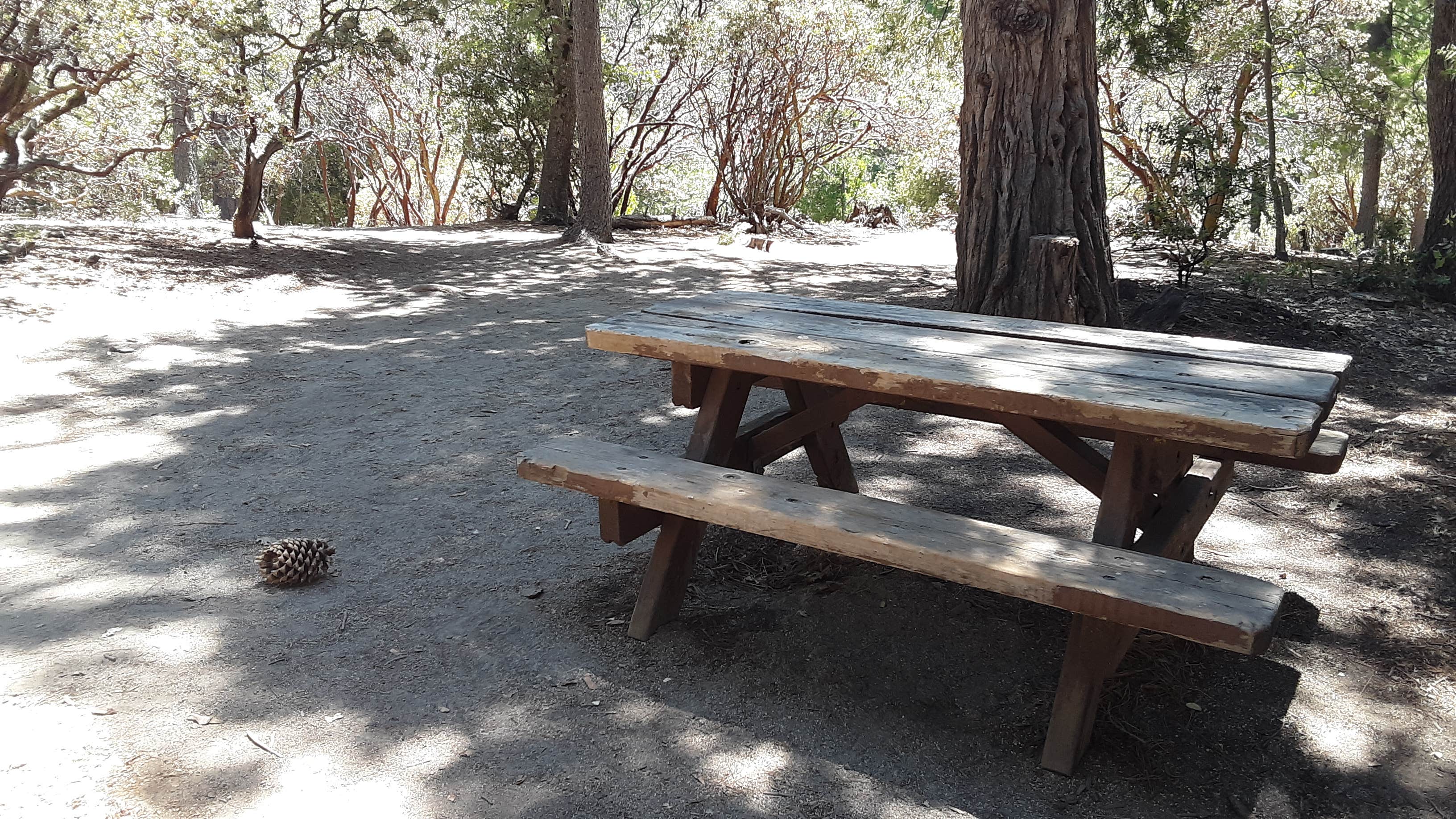 Camper-submitted photo at Stone Creek Campground — Mount San Jacinto State Park near San Jacinto, CA