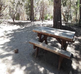 Camper-submitted photo from Stone Creek Campground — Mount San Jacinto State Park