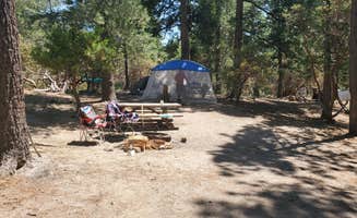 Ryan W.'s photo at Stone Creek Campground — Mount San Jacinto State Park near San Jacinto, CA