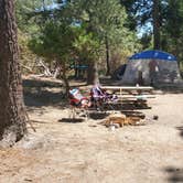 Review photo of Stone Creek Campground — Mount San Jacinto State Park by Ryan W., August 8, 2020