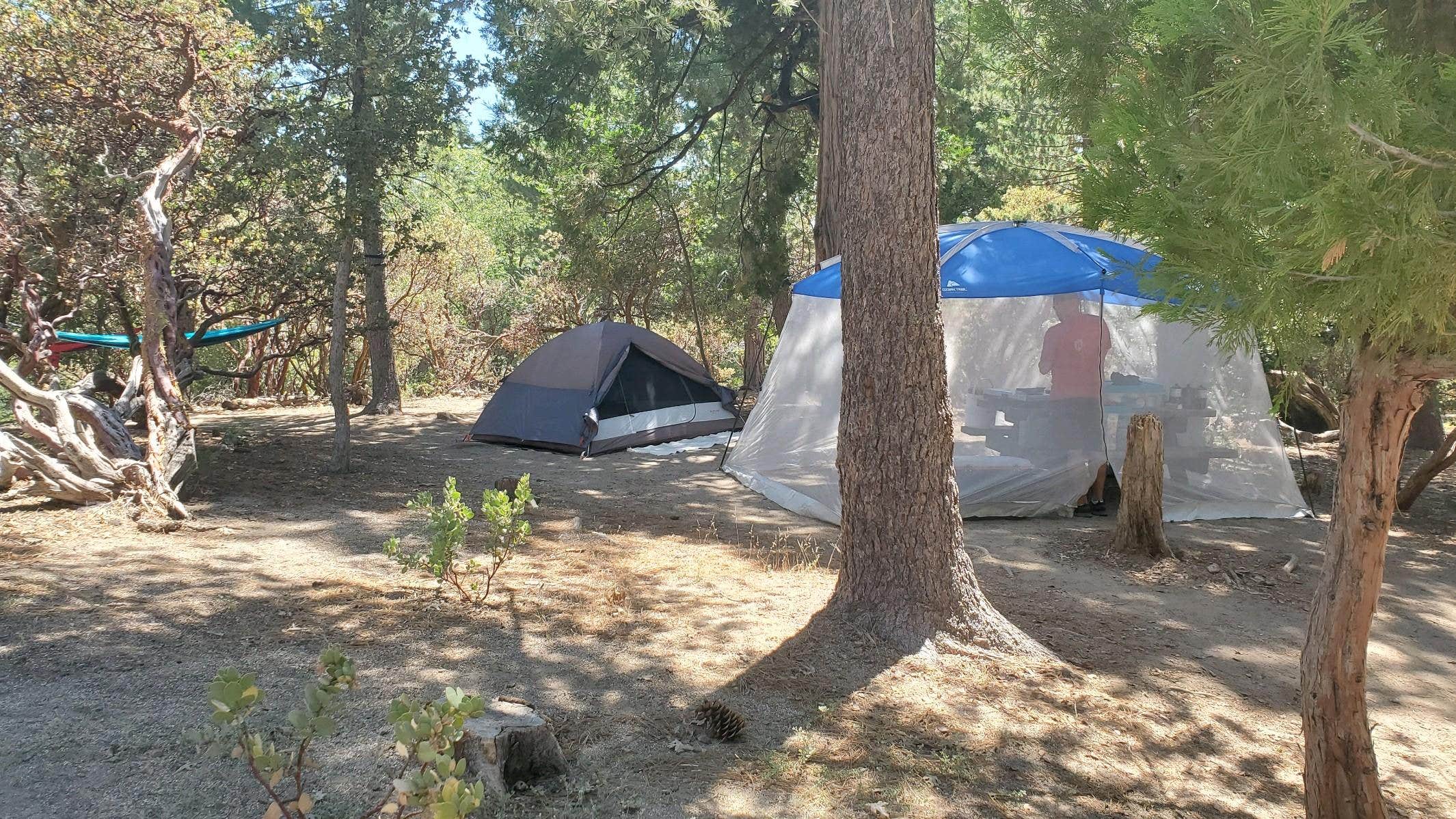 Ryan W.'s photo at Stone Creek Campground — Mount San Jacinto State Park near Whitewater, CA