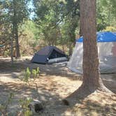 Review photo of Stone Creek Campground — Mount San Jacinto State Park by Ryan W., August 8, 2020