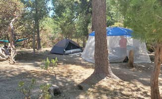 Ryan W.'s photo at Stone Creek Campground — Mount San Jacinto State Park near Mountain Center, CA