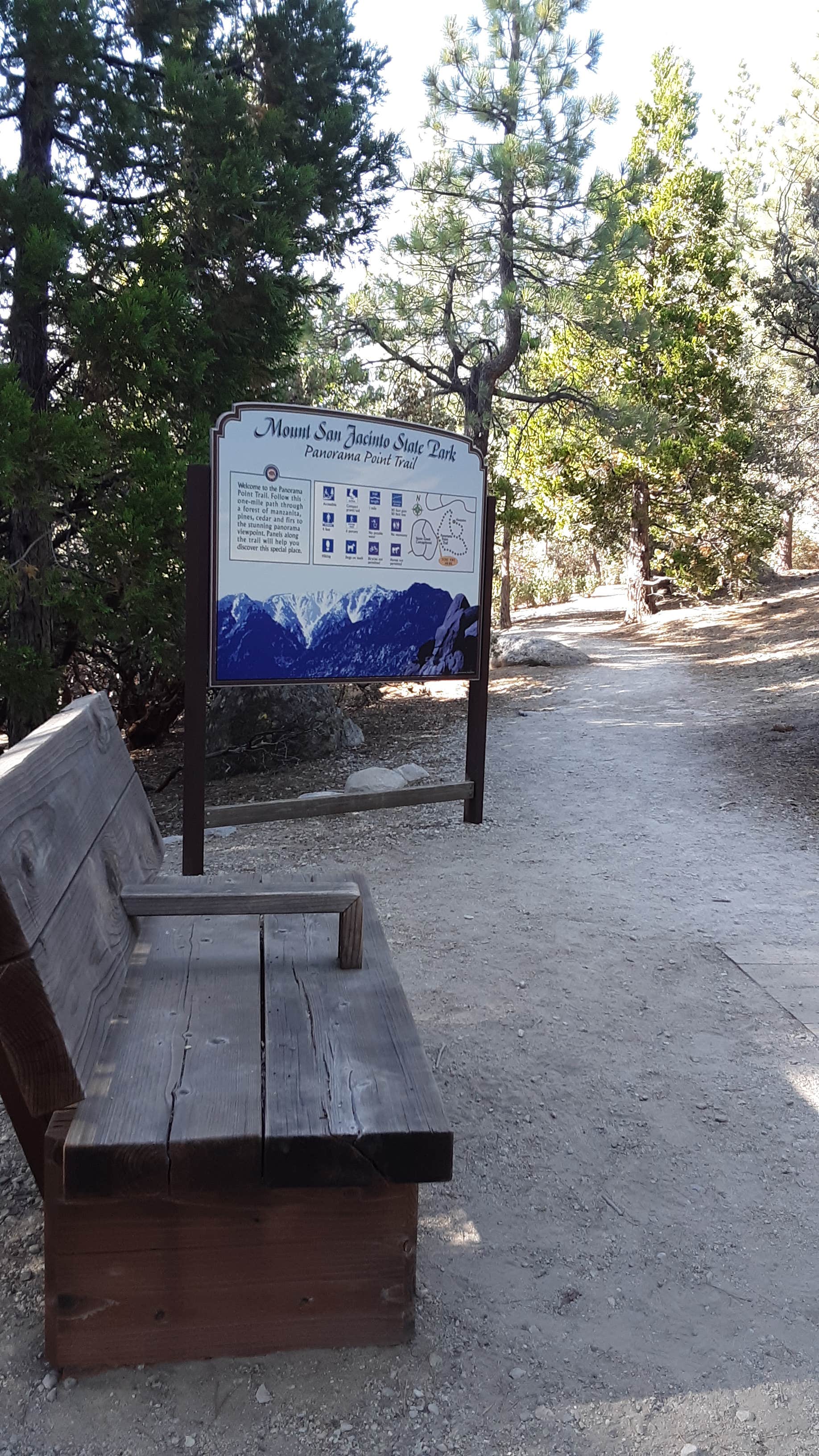 Camper submitted image from Stone Creek Campground — Mount San Jacinto State Park - 1