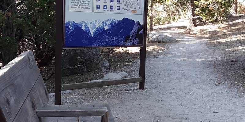 Camper submitted image from Stone Creek Campground — Mount San Jacinto State Park