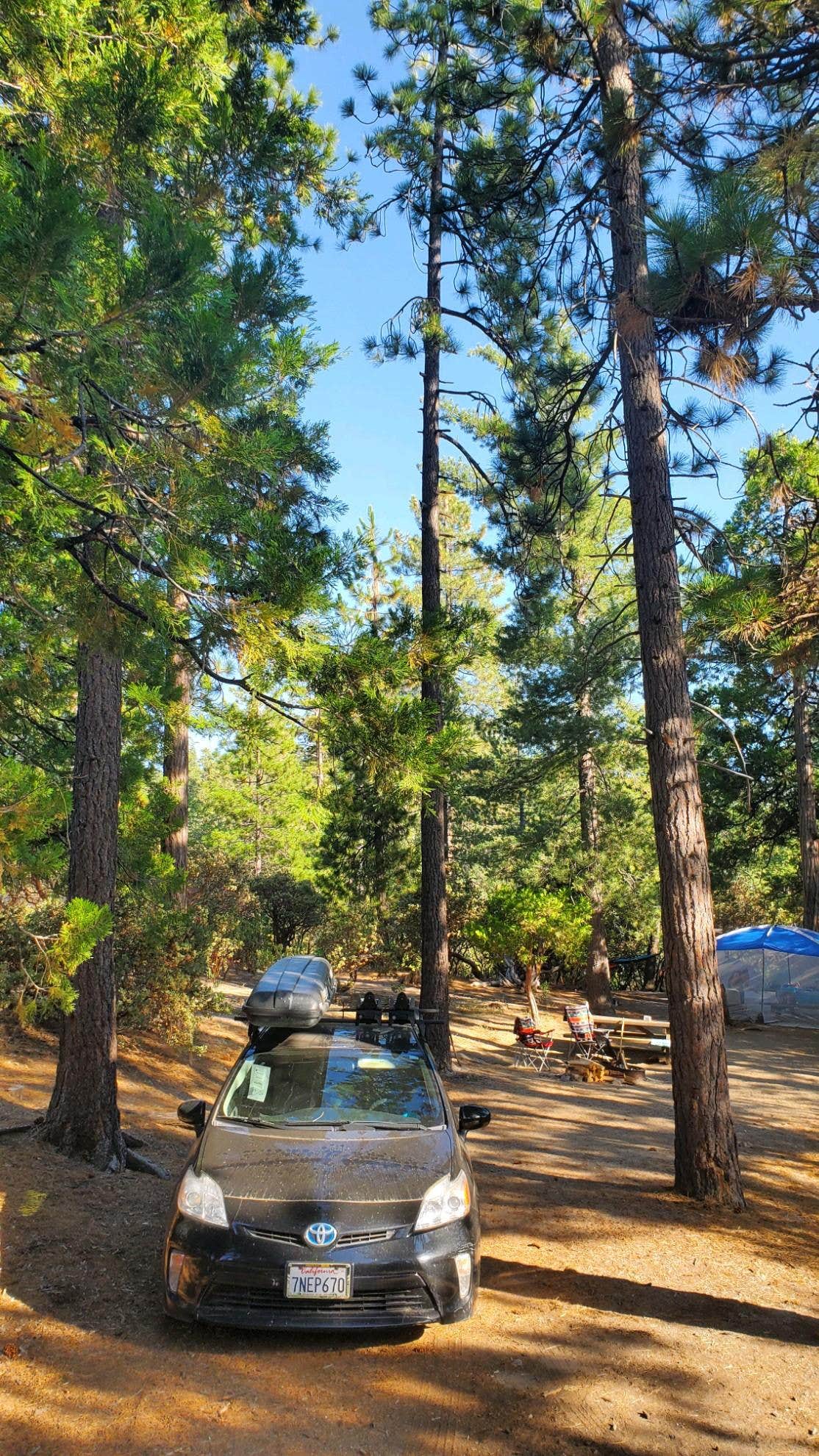Ryan W.'s photo at Stone Creek Campground — Mount San Jacinto State Park near Hemet, CA