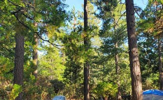 Ryan W.'s photo at Stone Creek Campground — Mount San Jacinto State Park near Mountain Center, CA