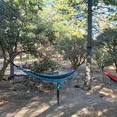 Review photo of Stone Creek Campground — Mount San Jacinto State Park by Ryan W., August 8, 2020