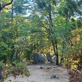 Review photo of Stone Creek Campground — Mount San Jacinto State Park by Ryan W., August 8, 2020