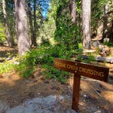 Review photo of Stone Creek Campground — Mount San Jacinto State Park by Ryan W., August 8, 2020