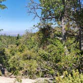 Review photo of Stone Creek Campground — Mount San Jacinto State Park by Ryan W., August 8, 2020