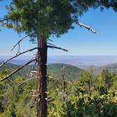 Review photo of Stone Creek Campground — Mount San Jacinto State Park by Ryan W., August 8, 2020