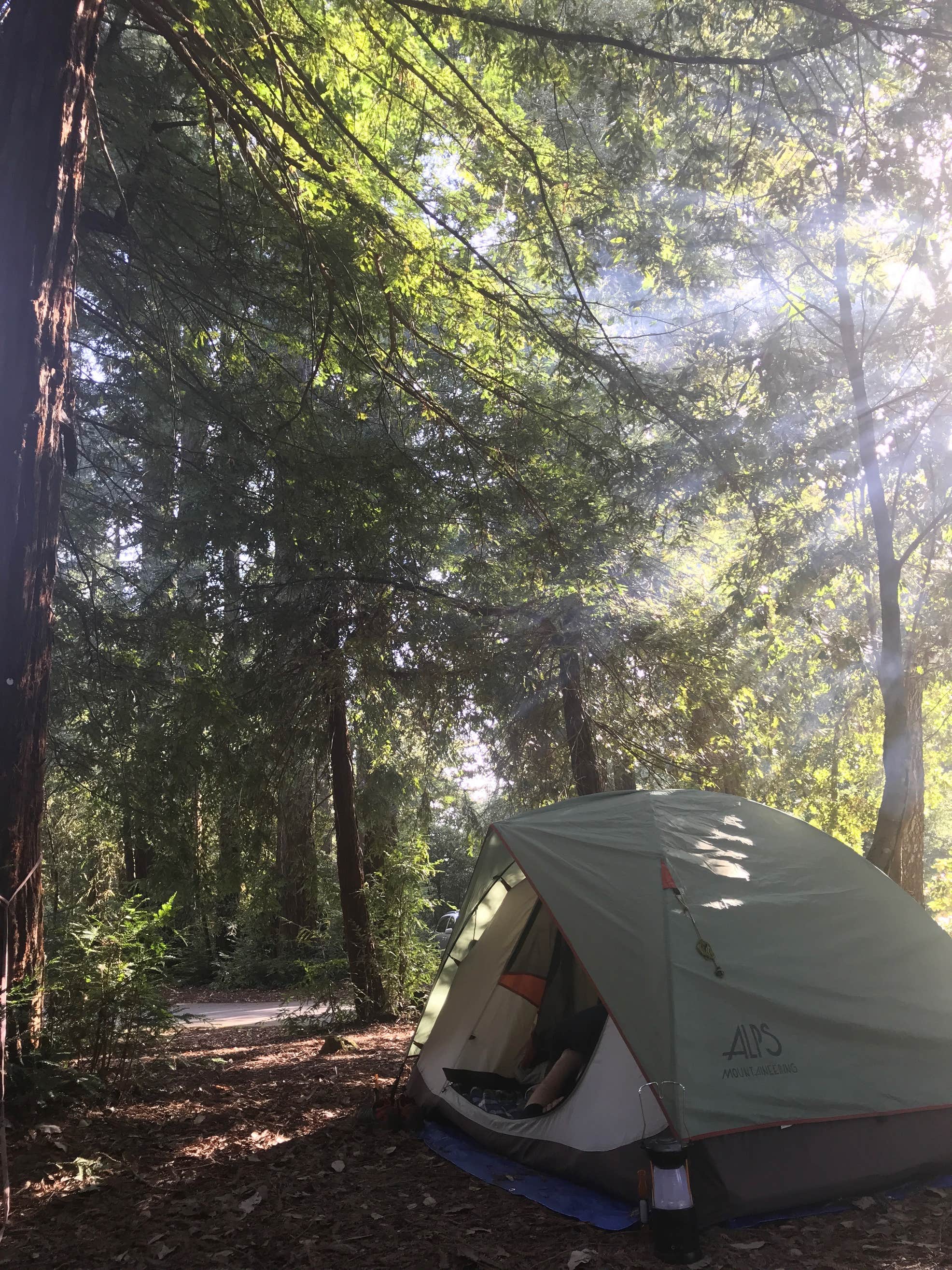 Mount Madonna Camping The Dyrt