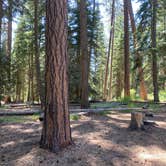 Review photo of Swauk Campground by Jeffry G., August 8, 2020