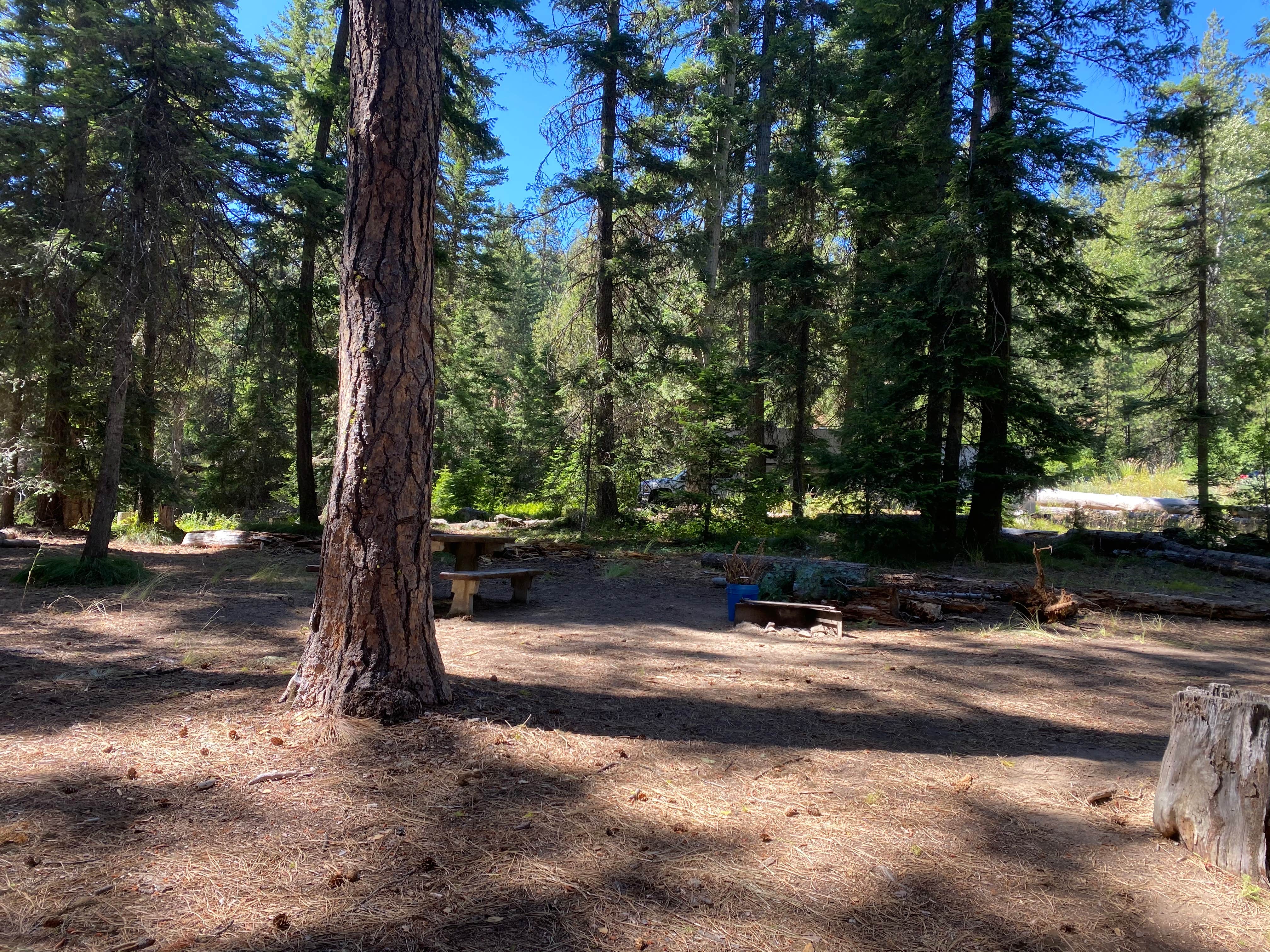 Camping near First Creek Camping: Swauk Campground, Okanogan-Wenatchee National Forest, Washington