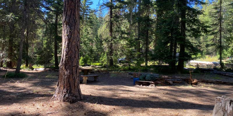 Camper submitted image from Swauk Campground