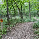 Review photo of Lake Maria State Park Campground by Stephanie K., August 8, 2020