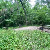 Review photo of Lake Maria State Park Campground by Stephanie K., August 8, 2020