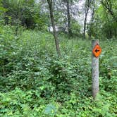 Review photo of Lake Maria State Park Campground by Stephanie K., August 8, 2020