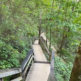 Review photo of West Rim - Cloudland Canyon State Park by Liz H., August 8, 2020