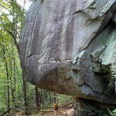 Review photo of West Rim - Cloudland Canyon State Park by Liz H., August 8, 2020