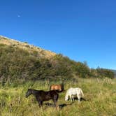 Review photo of Grande Hot Springs RV Resort by Zach H., August 8, 2020