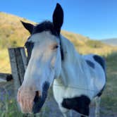 Review photo of Grande Hot Springs RV Resort by Zach H., August 8, 2020