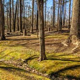 Review photo of Uwharrie Hunt Camp by Shari  G., August 8, 2020