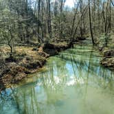 Review photo of Uwharrie Hunt Camp by Shari  G., August 8, 2020