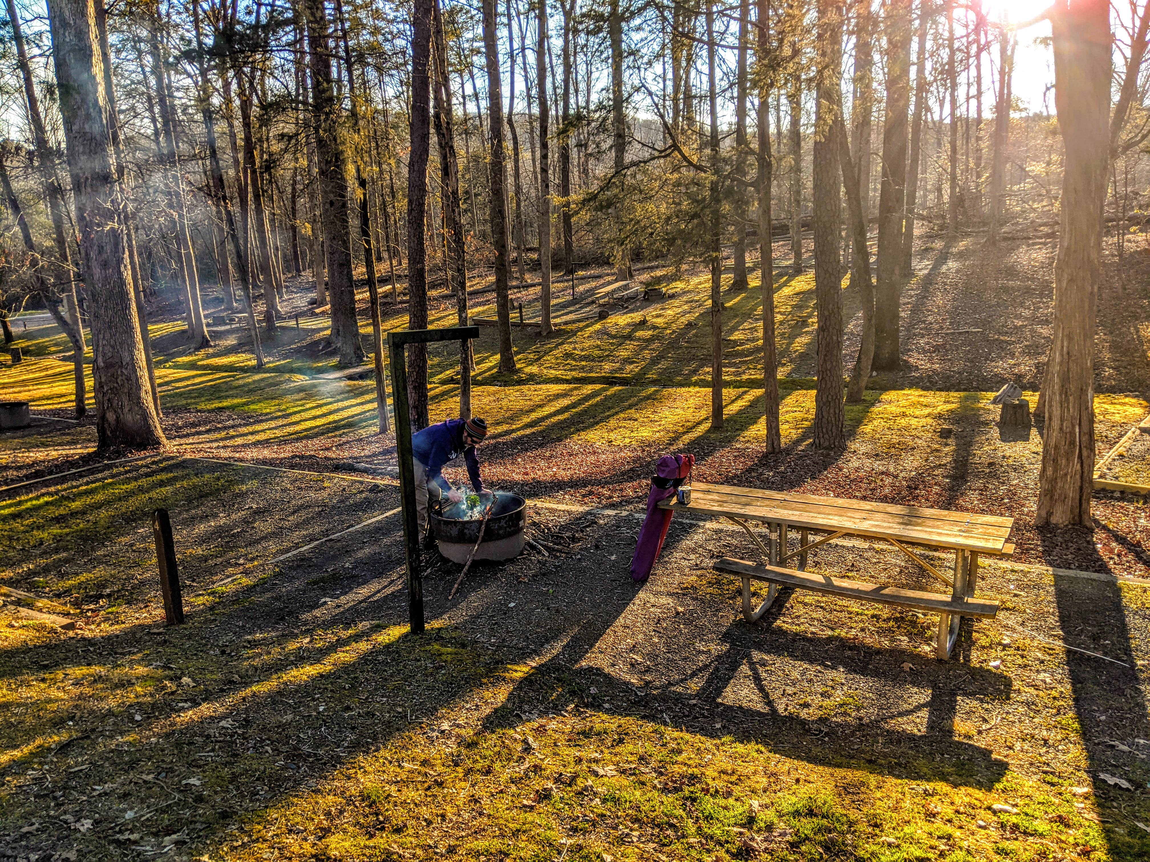 Camper submitted image from Uwharrie Hunt Camp - 5