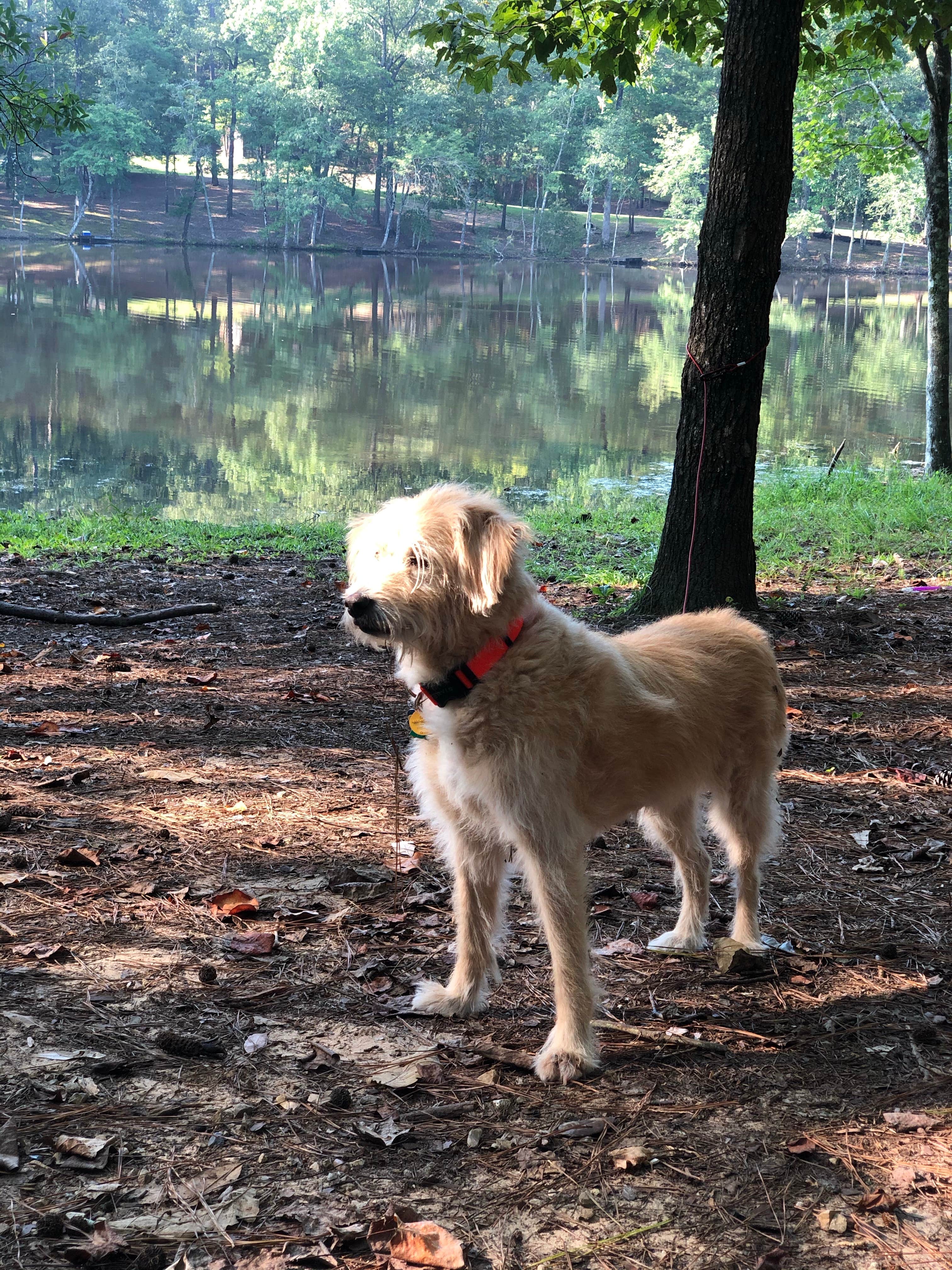 Camper-submitted photo at Clarkco State Park Campground near Enterprise, MS