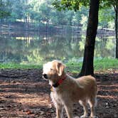 Review photo of Clarkco State Park Campground by Ginney M., August 8, 2020