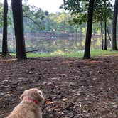 Review photo of Clarkco State Park Campground by Ginney M., August 8, 2020