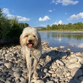 Review photo of Gros Ventre Campground — Grand Teton National Park by Zach H., August 8, 2020