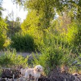 Review photo of Gros Ventre Campground — Grand Teton National Park by Zach H., August 8, 2020