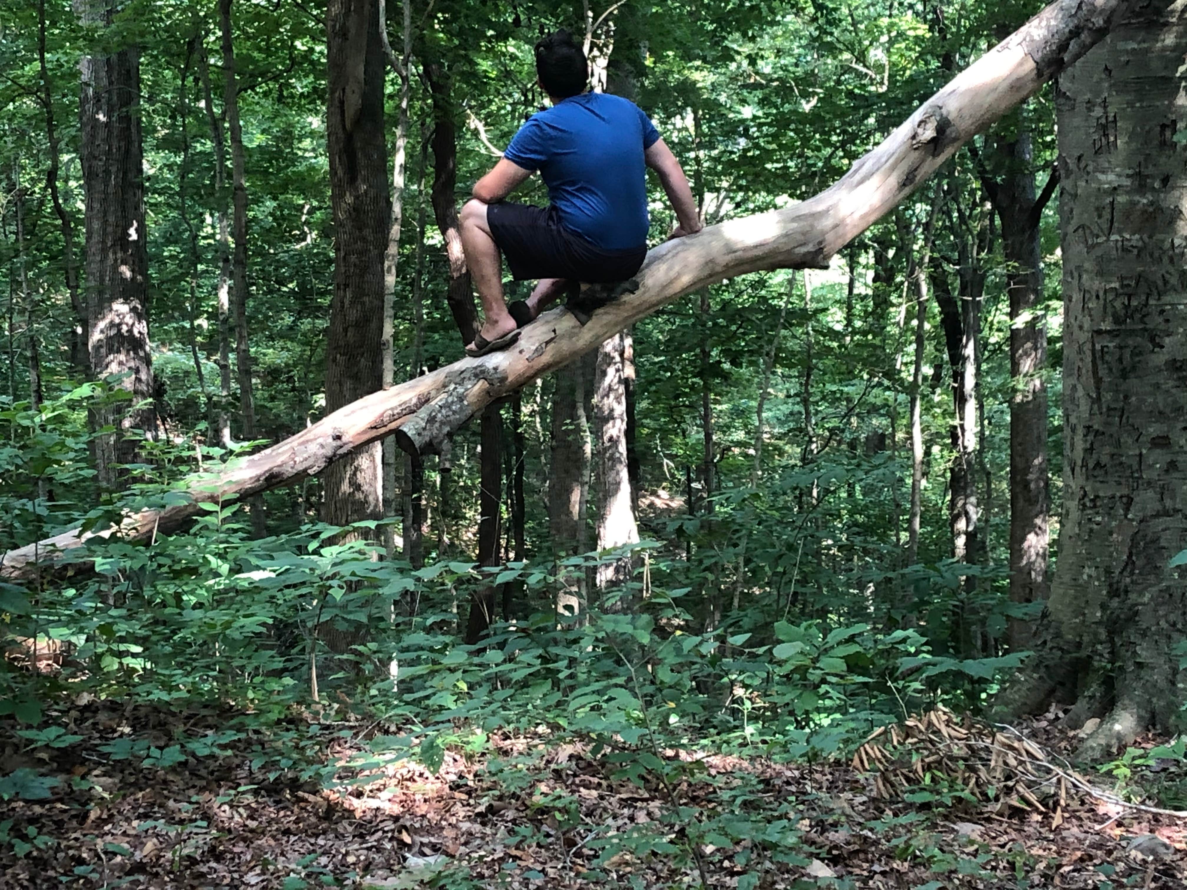 Camper-submitted photo at Turnhole Backcountry Campsite — Mammoth Cave National Park near Carthage, TN