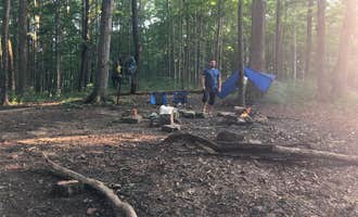 Camping near Houchin Ferry Campground — Mammoth Cave National Park: Turnhole Backcountry Campsite — Mammoth Cave National Park, Mammoth Cave National Park, Kentucky