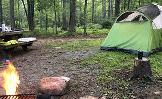 Carlie S.'s photo at The Pines Campground in Virginia