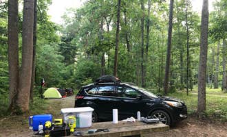 Camping near Catawba mountain shelter: The Pines Campground, Oriskany, Virginia