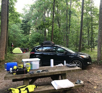 Camper-submitted photo from The Pines Campground