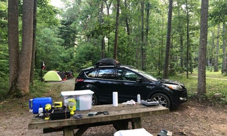 Camping near Greenbrier State Forest: The Pines Campground, Oriskany, Virginia