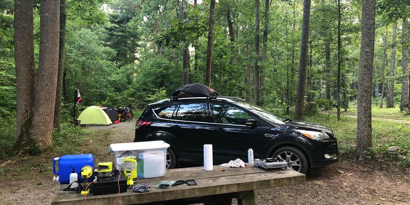 Camper submitted image from The Pines Campground