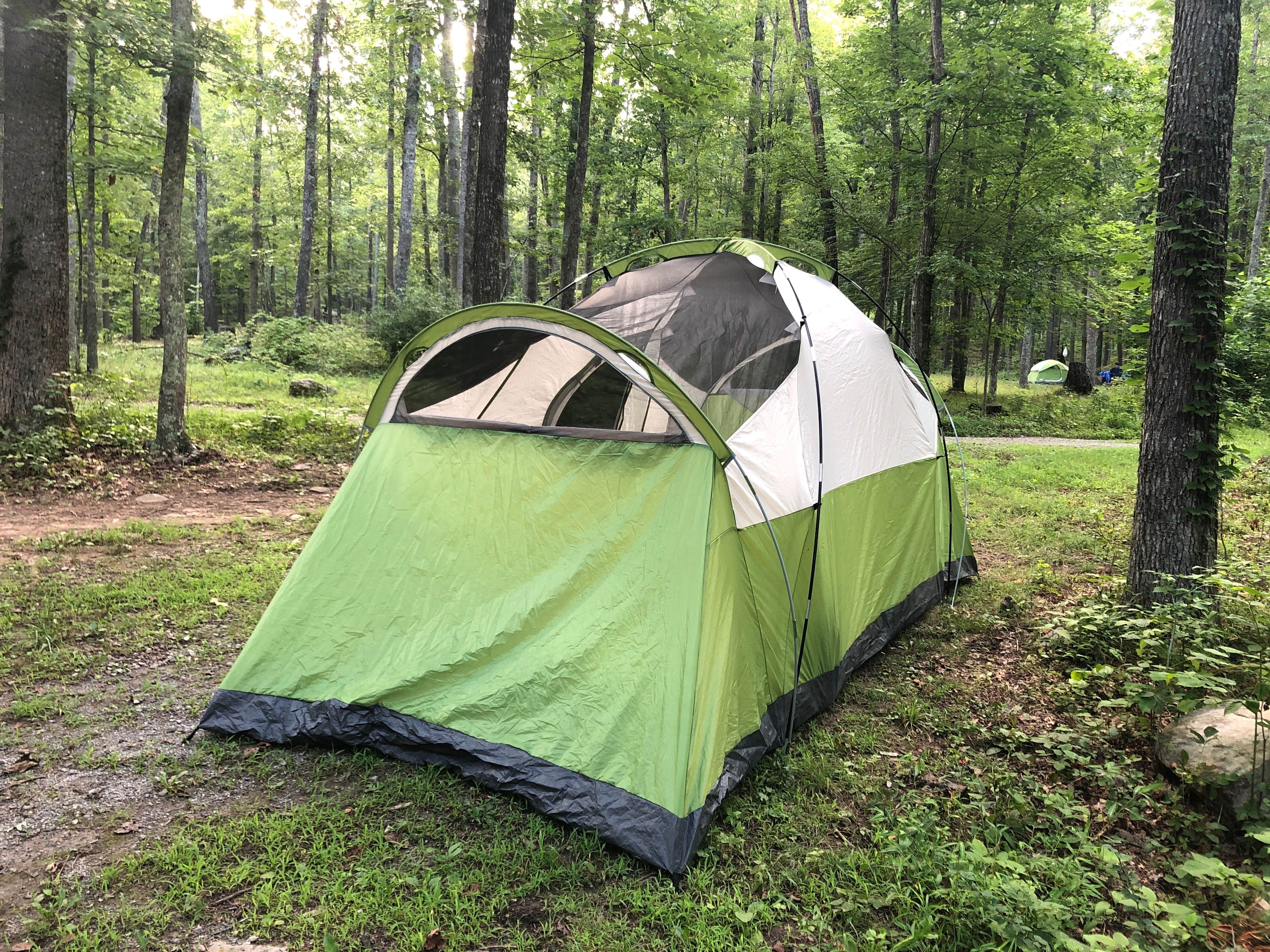 Camper-submitted photo at The Pines Campground near Paint Bank, VA