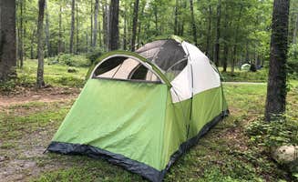 Carlie S.'s photo at The Pines Campground near Salem, VA