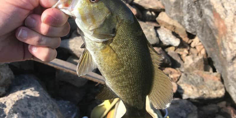 Camper submitted image from Grandad Recreation Area