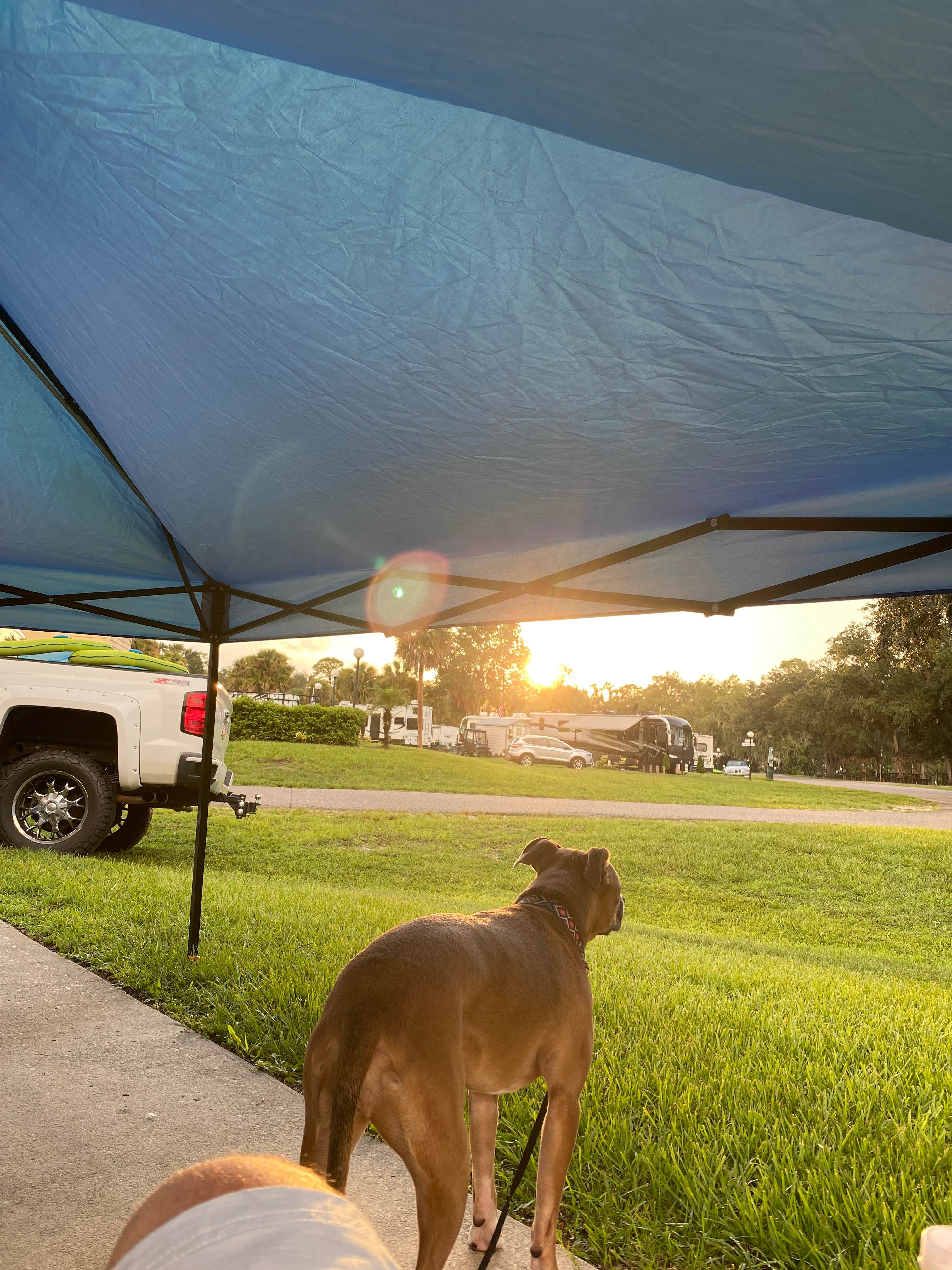 Grant  J.'s photo of camping with pets at Wekiva Falls RV Resort near Orlando, FL