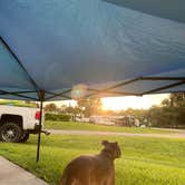 Review photo of Wekiva Falls RV Resort by Grant  J., August 8, 2020